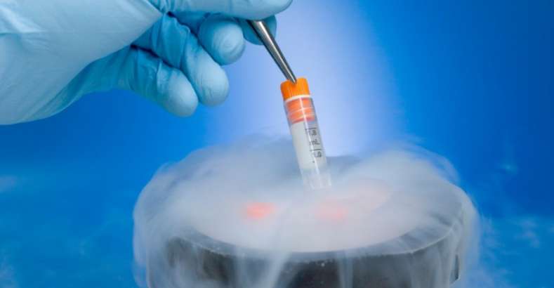 Gamete And Embryo Cryopreservation Omega Golden Fertility Clinic