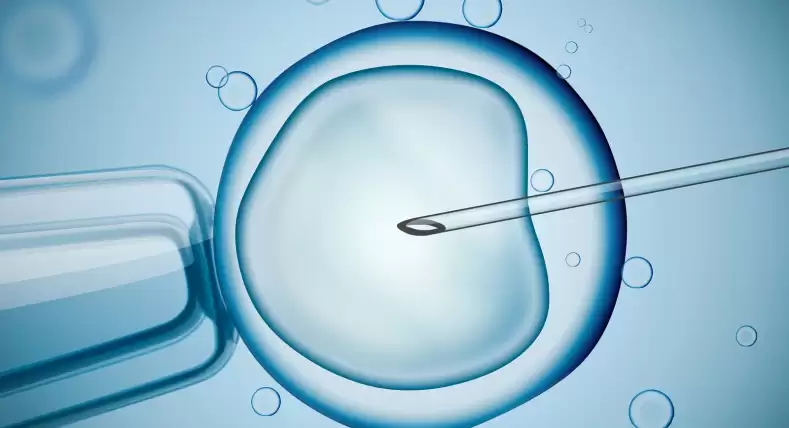 Common Challenges Couples Face During IVF Treatment