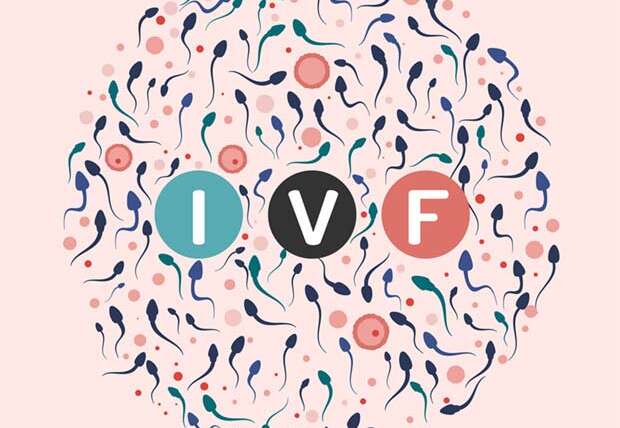 IVF Facts